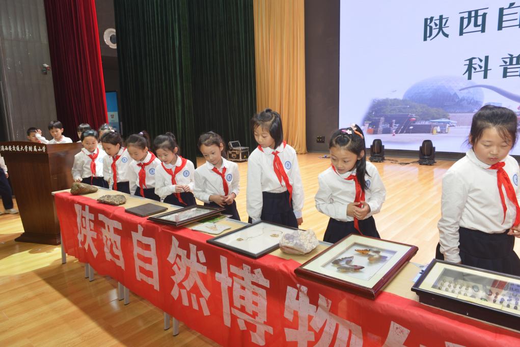 陕西自然博物馆科普小分队走进创新港西安交通大学附属小学