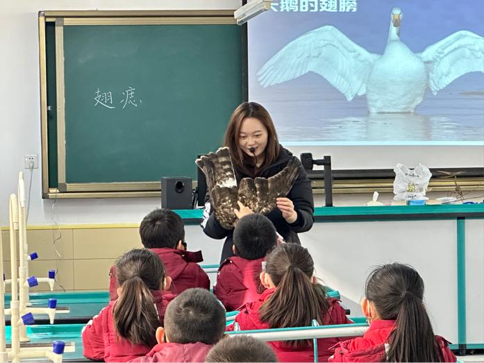 陕西自然博物馆《多样的翅膀》科普课程走进华清建大小学