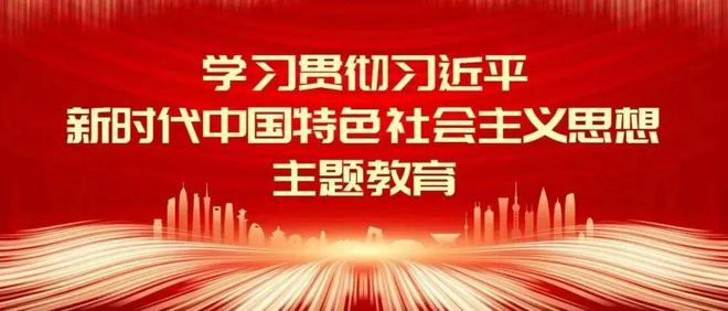 学习贯彻习近平新时代中国特色社会主义思想主题教育总结会议在京召开