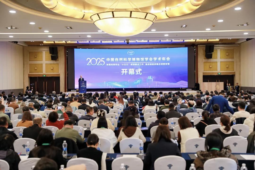 陕西自然博物馆积极参与中国自然科学博物馆学会2025年学术年会 共绘“展教研融合”新蓝图