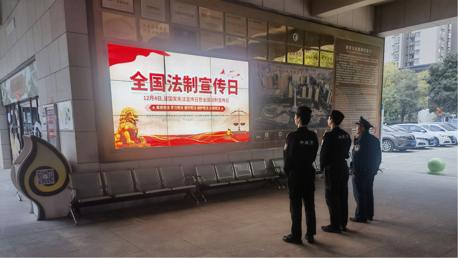 宪法之光映文博 法治精神润人心  &mdash;&mdash;陕西自然博物馆开展 2025 年 &ldquo;宪法宣传周&rdquo;主题宣传活动