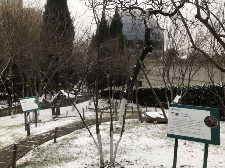 陕西自然博物馆新增室外植物知识展区