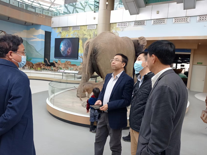 渭南市文物局一行来馆考察交流