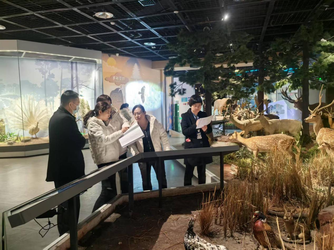 摸清家底 确保资产落实落细