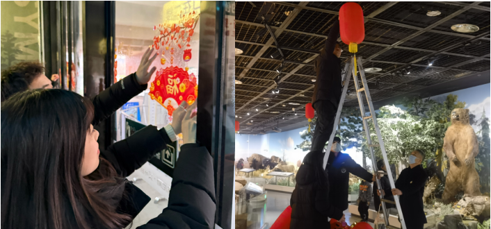 喜迎新春展厅装点年味浓
