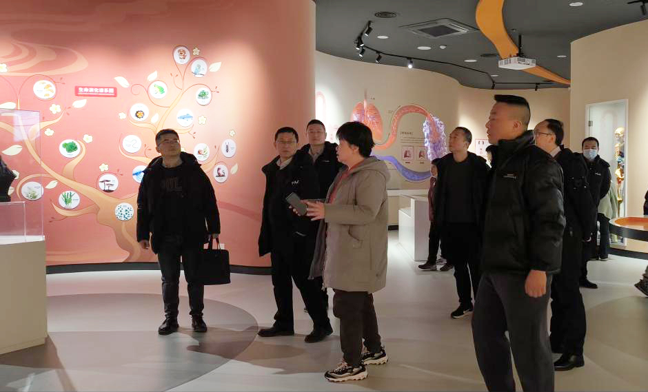 西安市文物局来馆开展节前检查