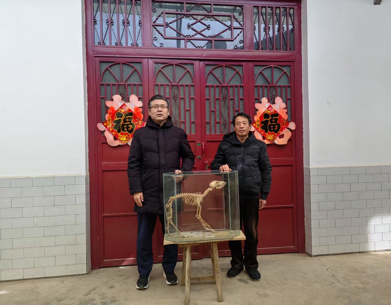 周先生捐赠骨骼标本 助力博物馆收藏科普事业