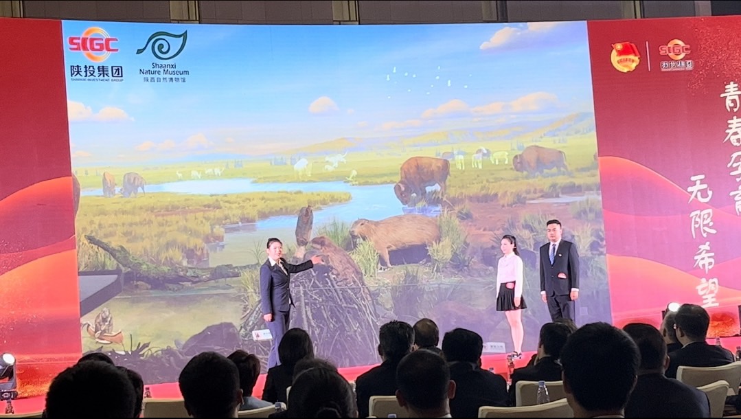 喜讯！陕西自然博物馆斩获佳绩